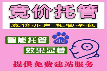 SEM托管助力企业提升流量案例